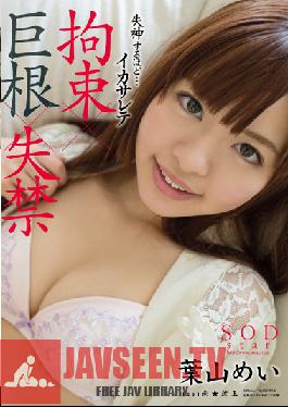 STAR-533 Studio SOD Create I Got Fucked 'Til I Lost Consciousness... Tied-Up, Fucked With Huge Cock and Incontinence Mei Hayama