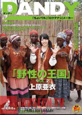 Mosaic DANDY-368 "Kingdom Of Wild" VOL.2 Ai Uehara