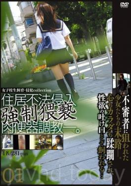 M-2078 Schoolgirl Cattle - Violation Collection