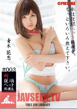 BRA-003 Studio Prestige New Pet Training #003 Karen Aoki