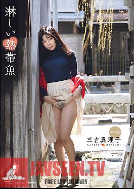 TSDS-46025 Lonely tropical fish Mariko Miyoshi