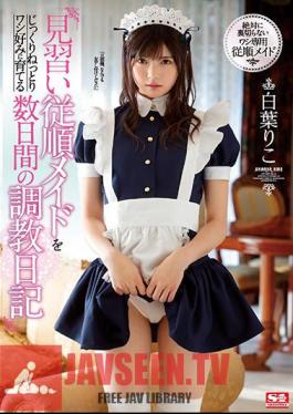 English Sub SSNI-749 A Training Diary For Several Days To Grow An Apprentice Obedient Maid Slowly And Carefully To A Eagle Taste Riko Shiba