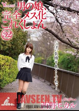 HERY-136 Man's Daughter, Complete Female Collection 32 Hikaru Nishino