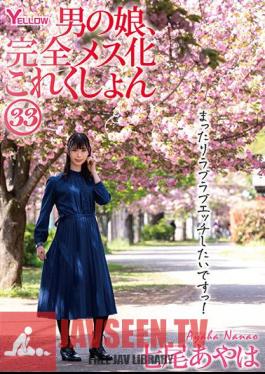 HERY-137 Man's Daughter, Complete Female Collection 33 Nanao Ayaha