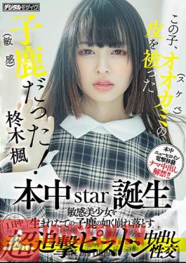 English Sub HMN-049 This Kid Was A Fawn (sensitive) With The Skin Of A Wolf (lewd)! Honnaka Star Birth All Day Super Pursuit Piston Cum Shot Sexual Intercourse That Collapses A Sensitive Beautiful Girl Like A Newborn Fawn Kaede Hiiragi