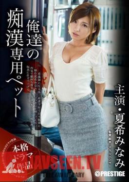 Mosaic ABP-264 I Our Pervert Dedicated Pet Natsuki South