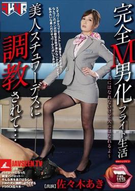 English sub MANE-016 A Totally Maso Man Transformation Flight Life I Was Getting Breaking In Training From A Beautiful Stewardess... Aki Sasaki