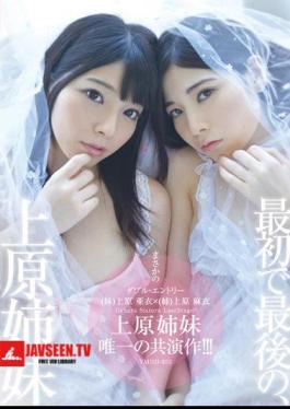 YMDD-055 The Last, Sister Co-star Work Of Uehara Sisters Only In The Normal Version First! !